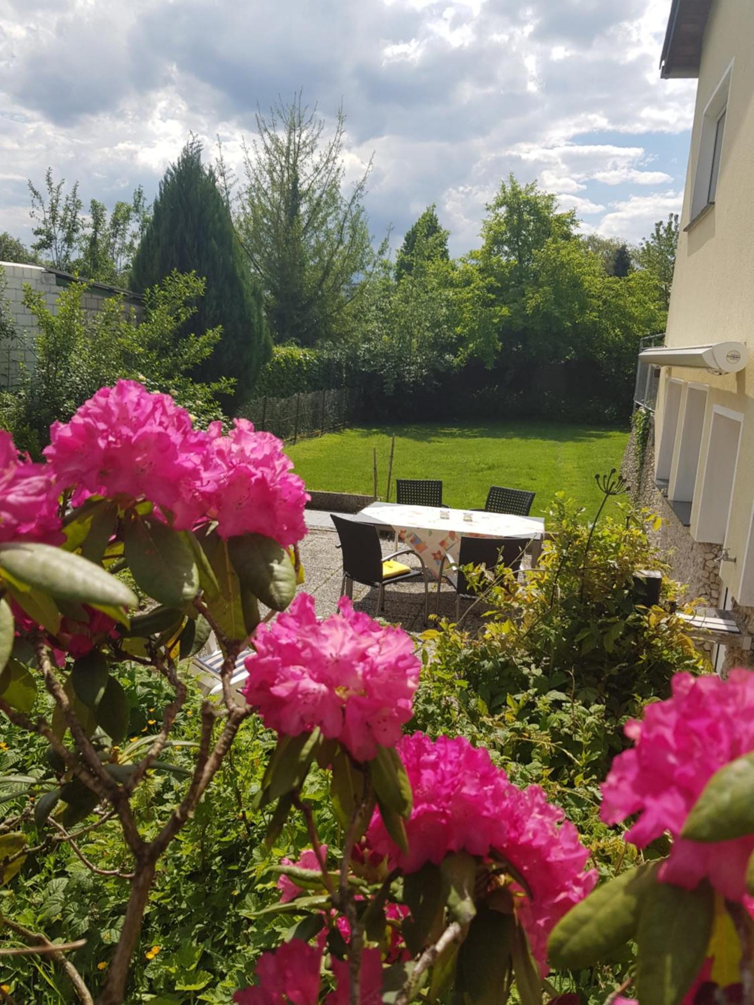 Ferienwohnung Im Rurtal Kreuzau Exterior foto